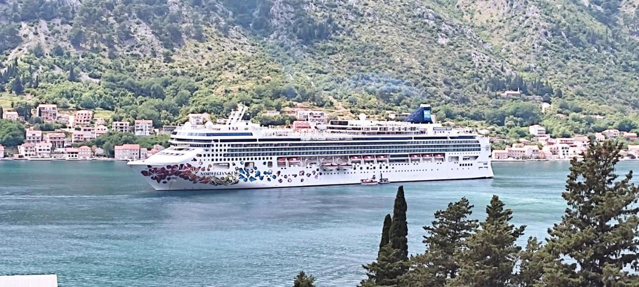 Apartments Peranovic Kotor Exteriör bild